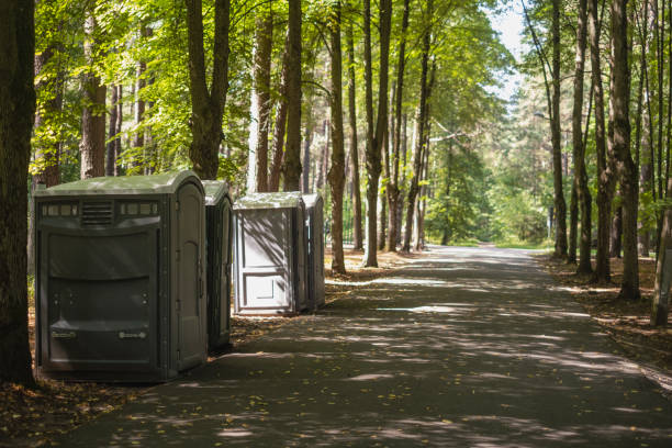 Best Porta potty rental for parties  in Dolan Springs, AZ